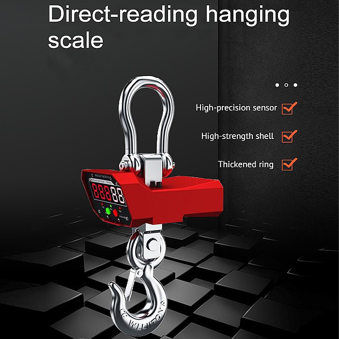 Digital Direct Reading Crane Scale